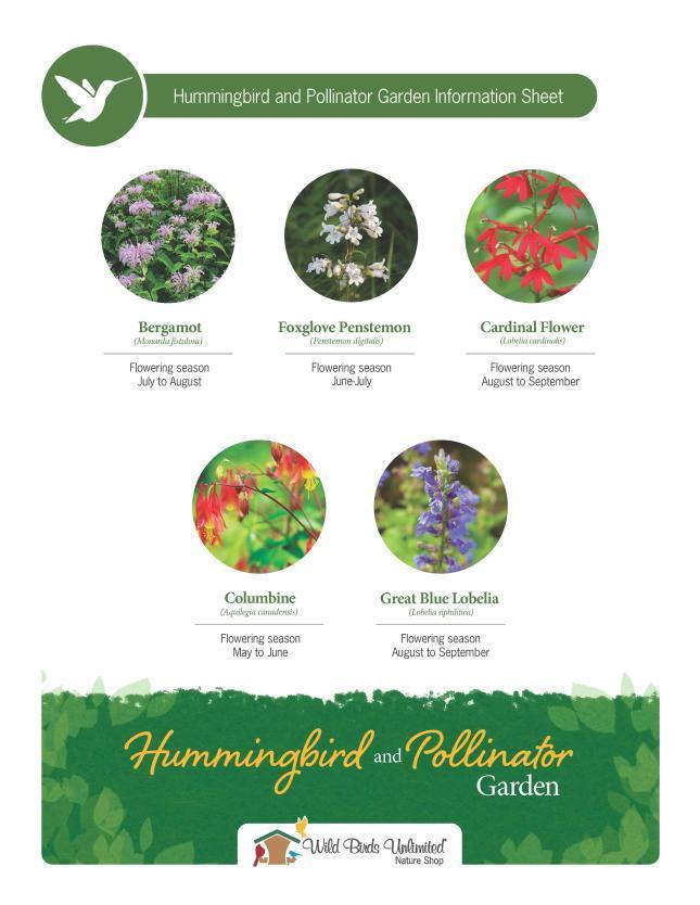 Hummingbird and Pollinator Gardens Information Sheet